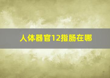 人体器官12指肠在哪