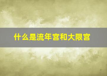 什么是流年宫和大限宫