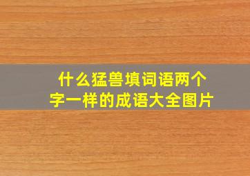 什么猛兽填词语两个字一样的成语大全图片