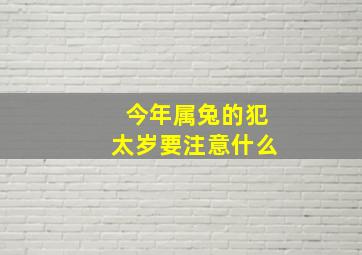 今年属兔的犯太岁要注意什么