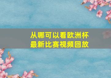 从哪可以看欧洲杯最新比赛视频回放