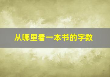 从哪里看一本书的字数