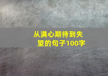 从满心期待到失望的句子100字