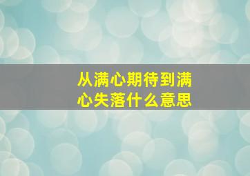 从满心期待到满心失落什么意思