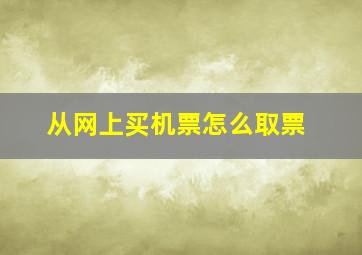 从网上买机票怎么取票