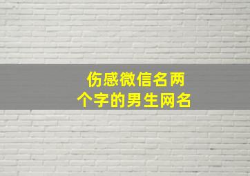 伤感微信名两个字的男生网名