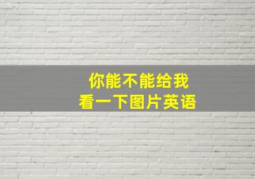 你能不能给我看一下图片英语