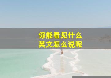 你能看见什么英文怎么说呢