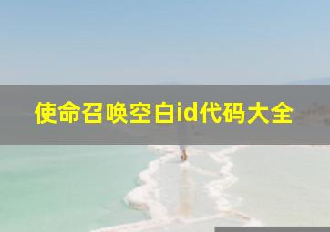 使命召唤空白id代码大全