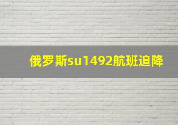 俄罗斯su1492航班迫降