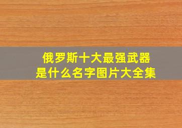 俄罗斯十大最强武器是什么名字图片大全集