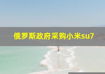 俄罗斯政府采购小米su7