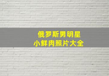 俄罗斯男明星小鲜肉照片大全