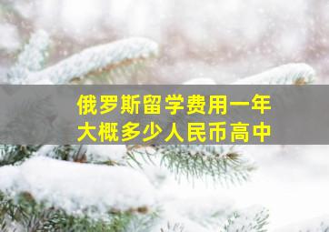 俄罗斯留学费用一年大概多少人民币高中