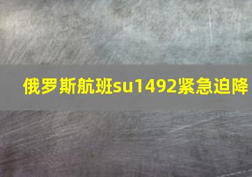 俄罗斯航班su1492紧急迫降