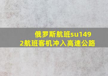 俄罗斯航班su1492航班客机冲入高速公路