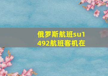 俄罗斯航班su1492航班客机在