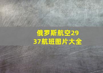 俄罗斯航空2937航班图片大全