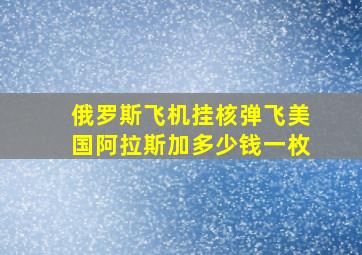 俄罗斯飞机挂核弹飞美国阿拉斯加多少钱一枚