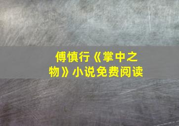 傅慎行《掌中之物》小说免费阅读