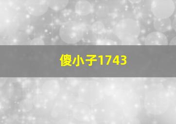 傻小子1743