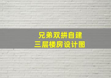 兄弟双拼自建三层楼房设计图