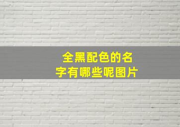 全黑配色的名字有哪些呢图片