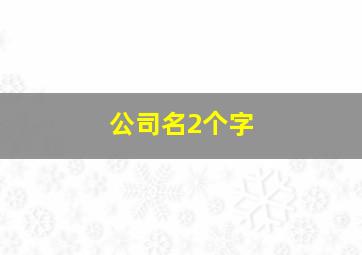 公司名2个字