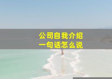 公司自我介绍一句话怎么说