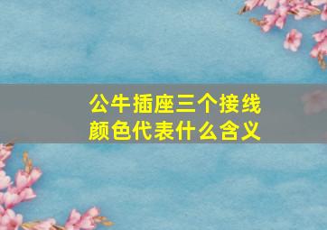 公牛插座三个接线颜色代表什么含义