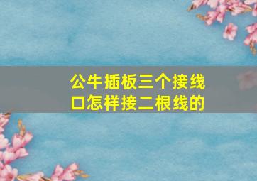 公牛插板三个接线口怎样接二根线的