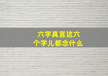 六字真言这六个字儿都念什么