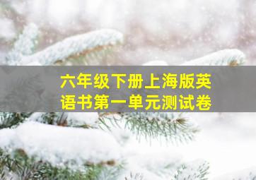 六年级下册上海版英语书第一单元测试卷