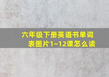 六年级下册英语书单词表图片1~12课怎么读