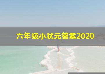 六年级小状元答案2020