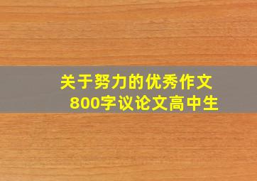 关于努力的优秀作文800字议论文高中生