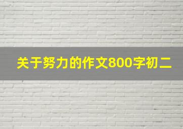 关于努力的作文800字初二