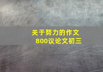 关于努力的作文800议论文初三