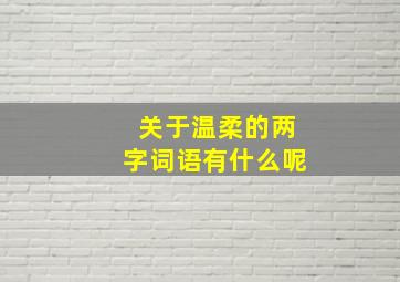 关于温柔的两字词语有什么呢