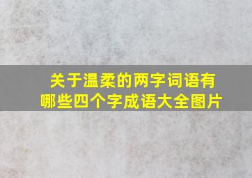 关于温柔的两字词语有哪些四个字成语大全图片