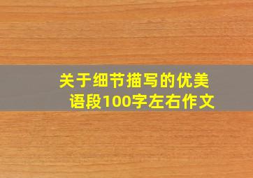 关于细节描写的优美语段100字左右作文