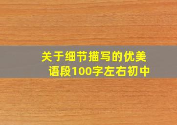 关于细节描写的优美语段100字左右初中