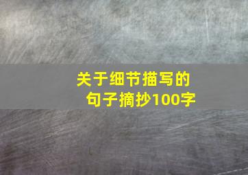 关于细节描写的句子摘抄100字