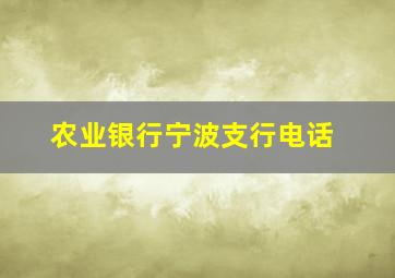 农业银行宁波支行电话