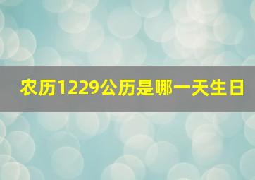 农历1229公历是哪一天生日