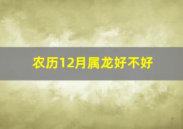 农历12月属龙好不好