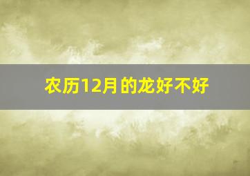 农历12月的龙好不好