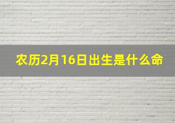 农历2月16日出生是什么命