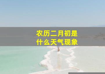 农历二月初是什么天气现象