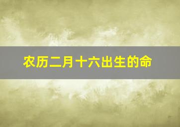 农历二月十六出生的命